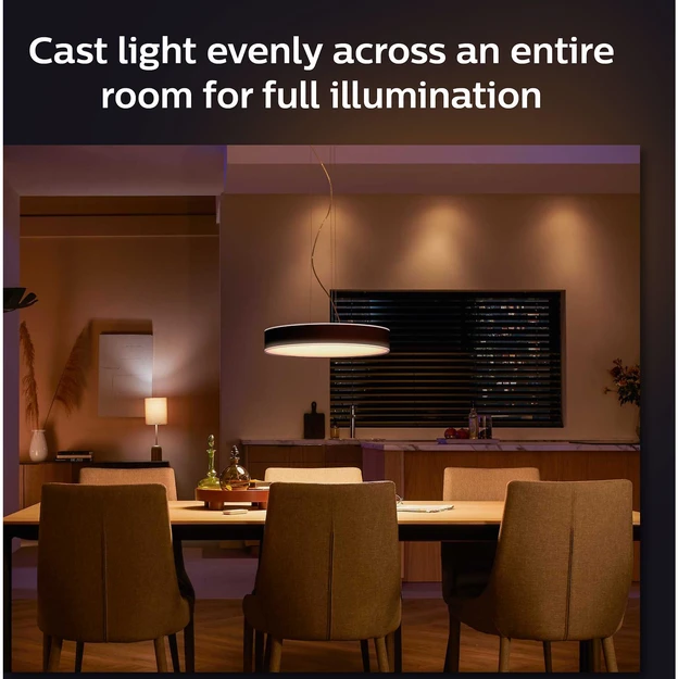 Pakabinamas šviestuvas Philips Hue Enrave juodas pendant