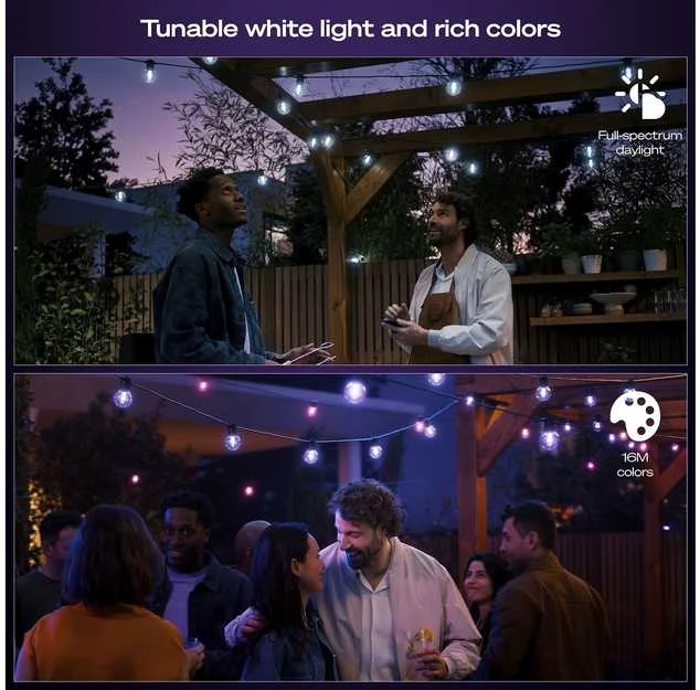 „Philips Hue Festavia Globe“ lauko švieselių pasakos, 21 m | 30 W