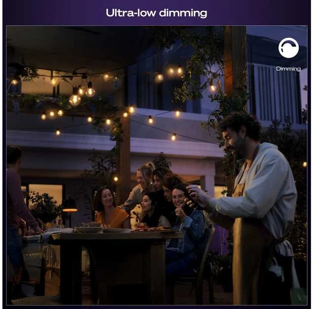 „Philips Hue Festavia Globe“ lauko švieselių pasakos, 21 m | 30 W