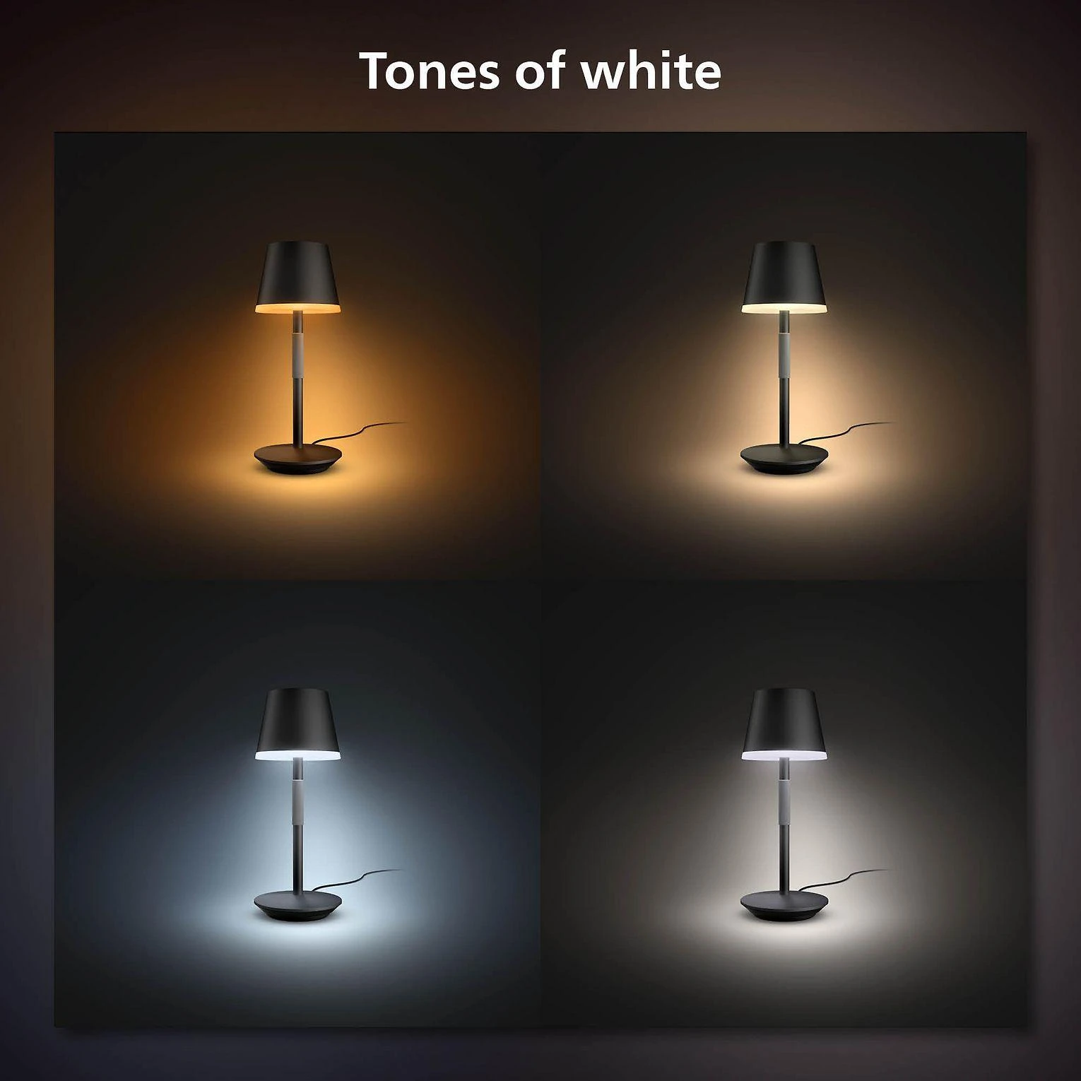 Philips Hue Baltas and colour ambience Nešiojamoji stalo lempa Hue Go