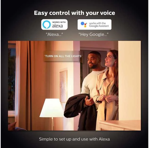 Philips Hue Baltos šviesos E27 lemputė su standartiniu kaitinimo siūlu