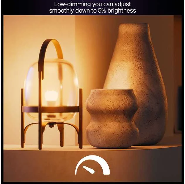 Philips Hue Inteligentna żarówka A60 E27 - 1100 | 2 vnt.
