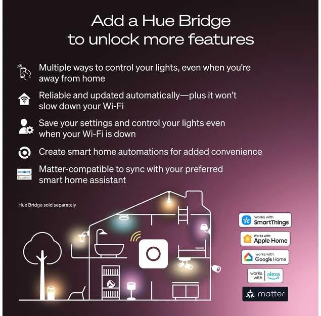 Philips Hue Inteligentna żarówka A60 E27 - 1100 | 2 vnt.
