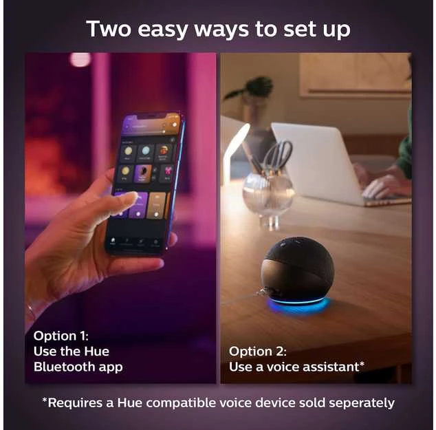 Philips Hue WCA 9W A60 E27