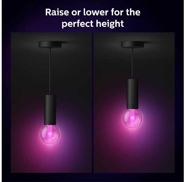 Philips Hue E27 pakabinamas šviestuvas Lightguide lemputėms