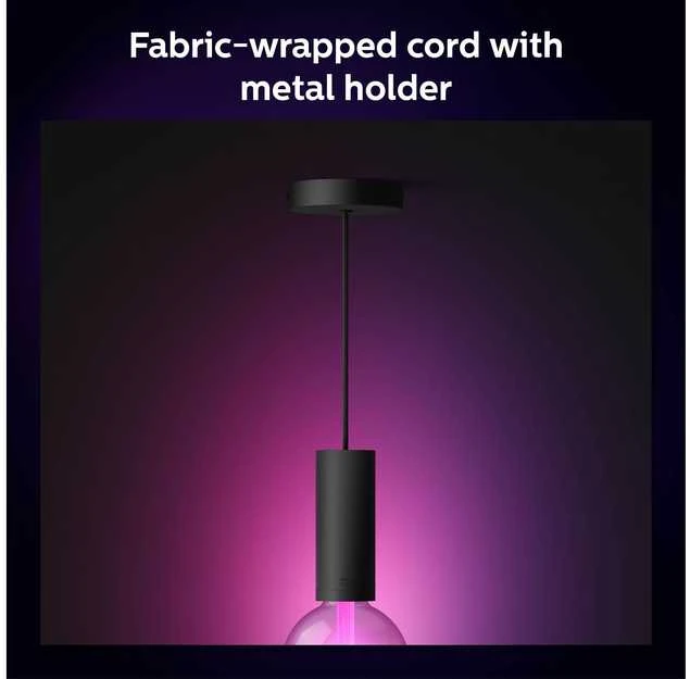 Philips Hue E27 pakabinamas šviestuvas Lightguide lemputėms