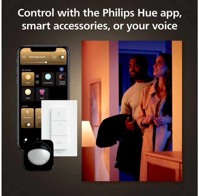 Philips Hue WCA Lightguide G95 | E27 | 6,8 W | Baltas ir spalvota šviesa