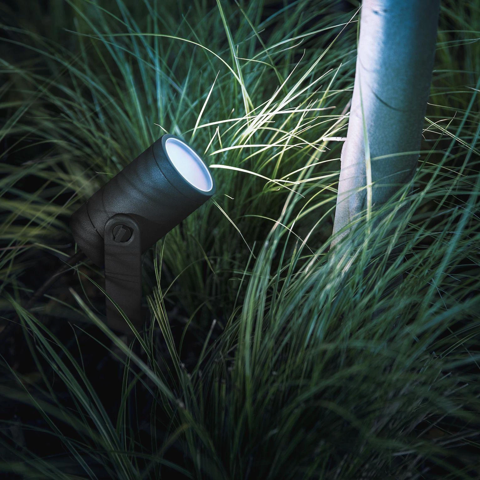 Philips Hue Taškinis lauko šviestuvas Lily (Baltas ir spalvotas)