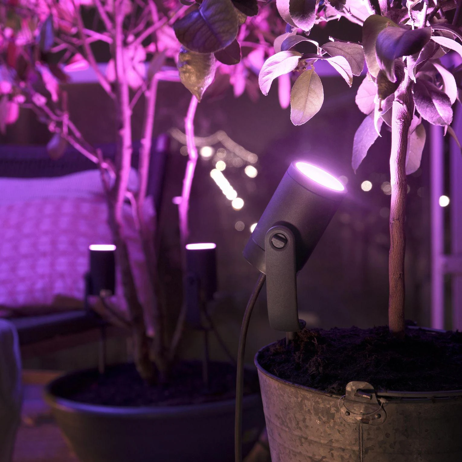 Philips Hue Taškinis lauko šviestuvas Lily (Baltas ir spalvotas)
