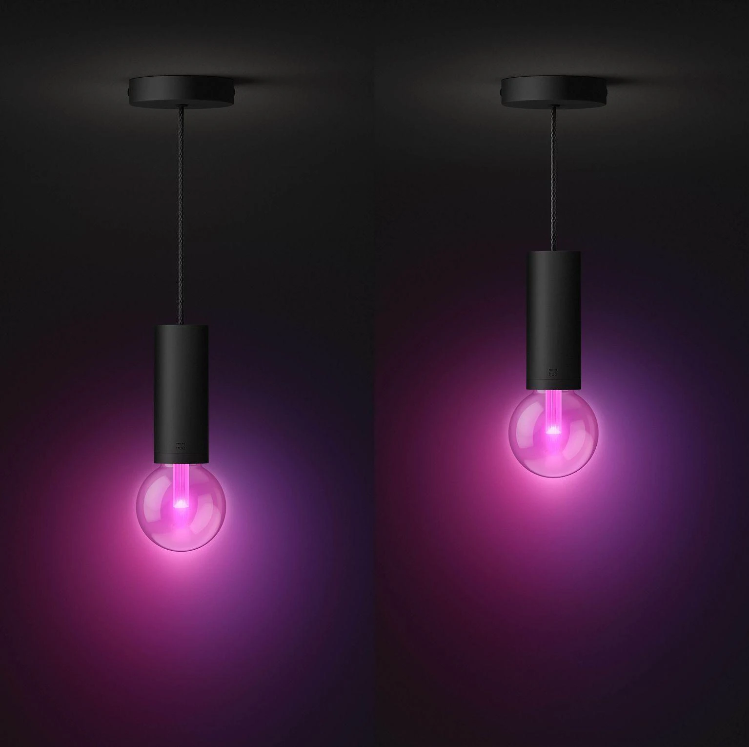 Philips Hue E27 pakabinamas šviestuvas Lightguide lemputėms