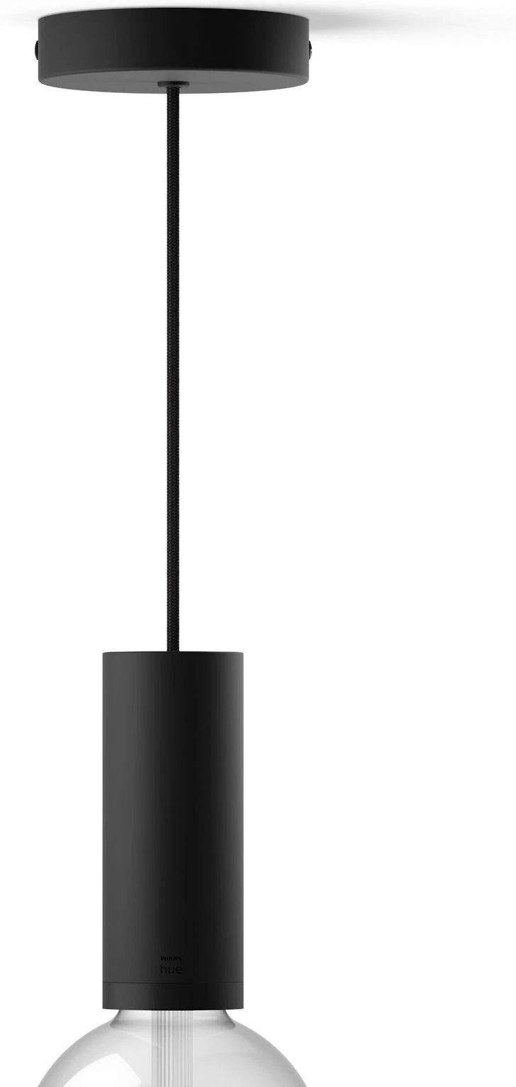 Philips Hue E27 pakabinamas šviestuvas Lightguide lemputėms
