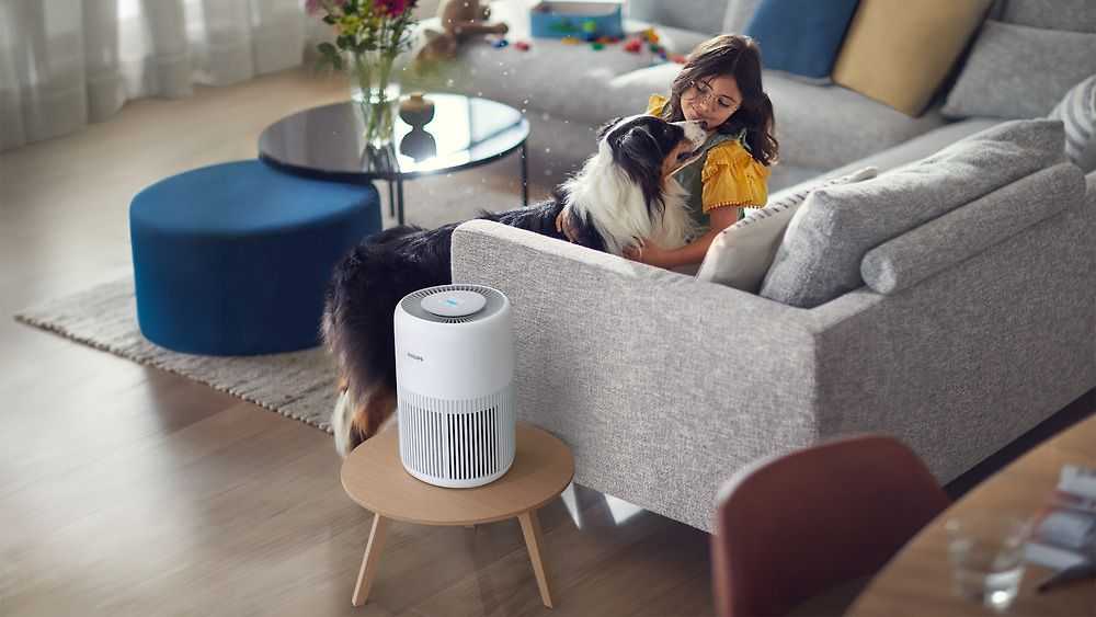 Philips oro valytuvas iki 65 m², CADR 250 m³/h, HEPA ir aktyvintos anglies filtras AC0950/10