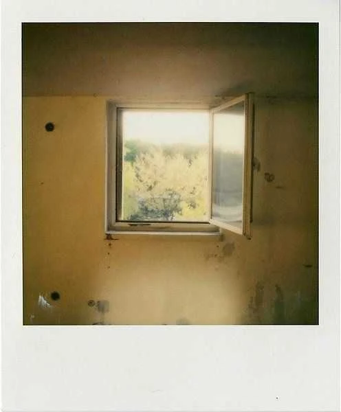 Polaroid Color Film 600
