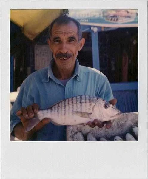 Polaroid Color Film 600