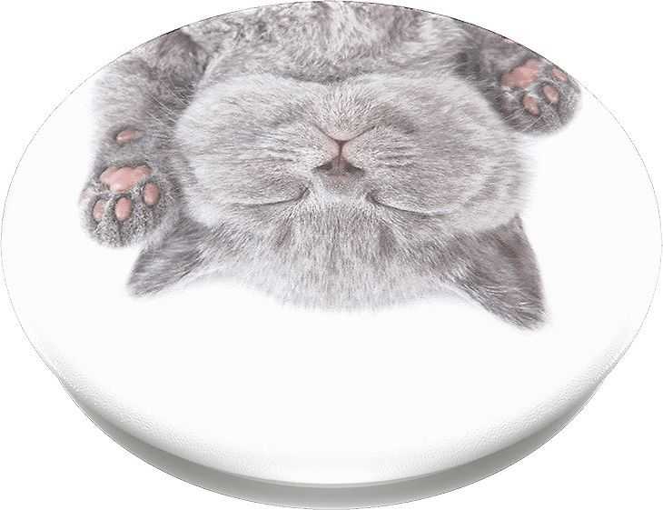 Popsockets 2 Cat Nap 800947 telefono laikiklis - standard