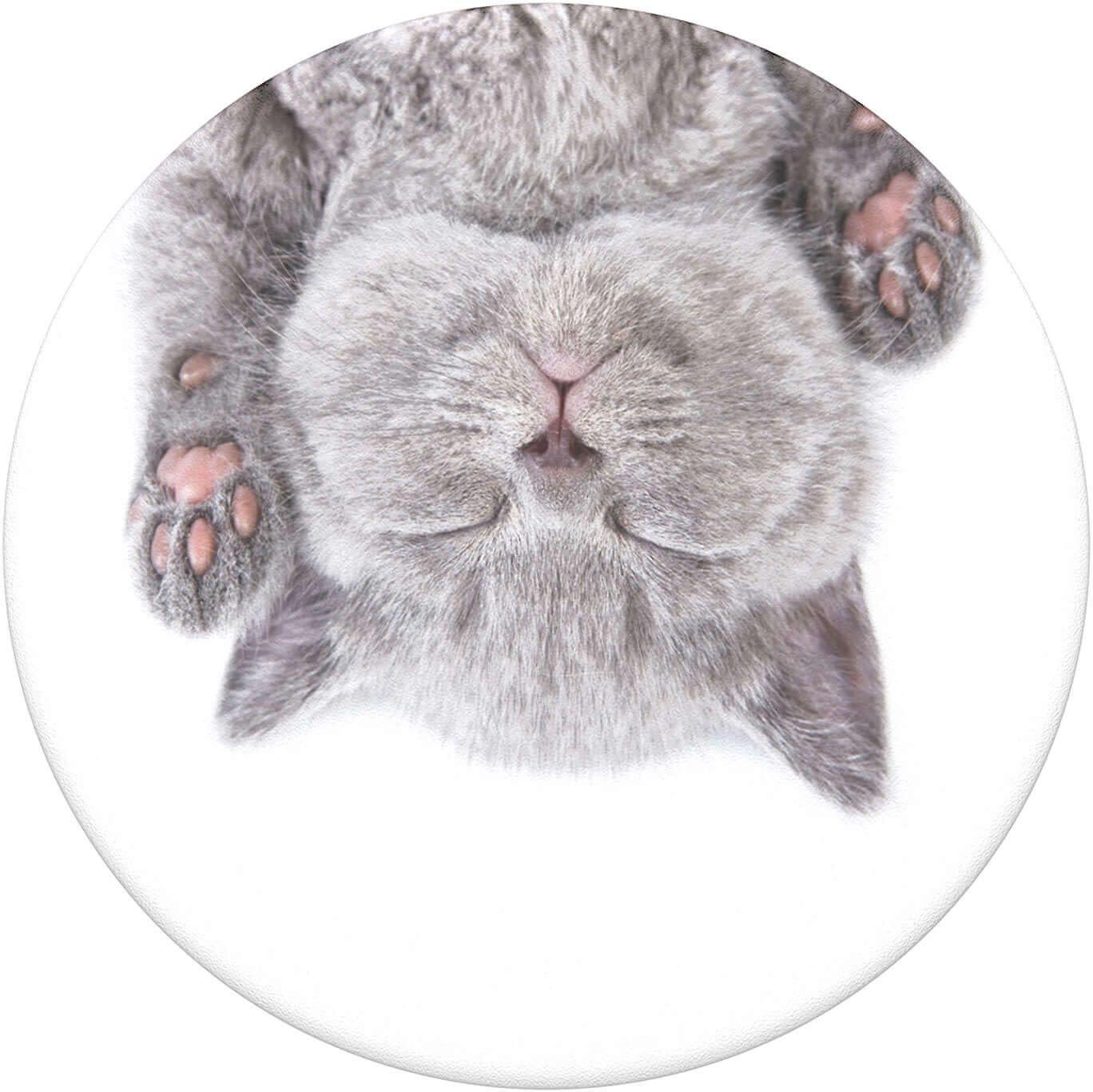 Popsockets 2 Cat Nap 800947 telefono laikiklis - standard