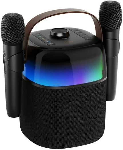 ProCaster Upbeat karaokekaiutin kahdella mikrofonilla