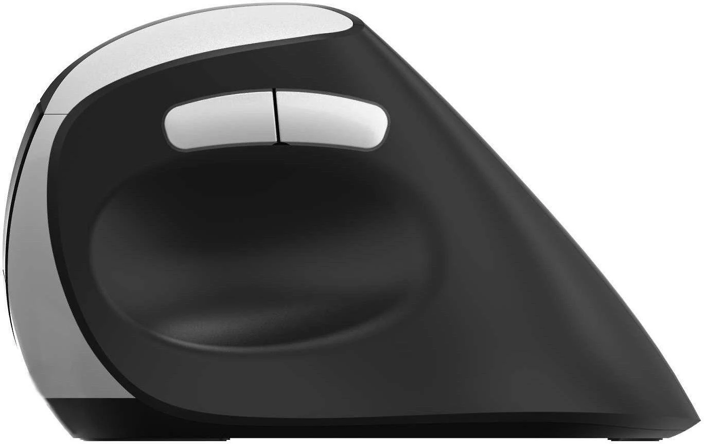 Pelė Rapoo EV250 juoda