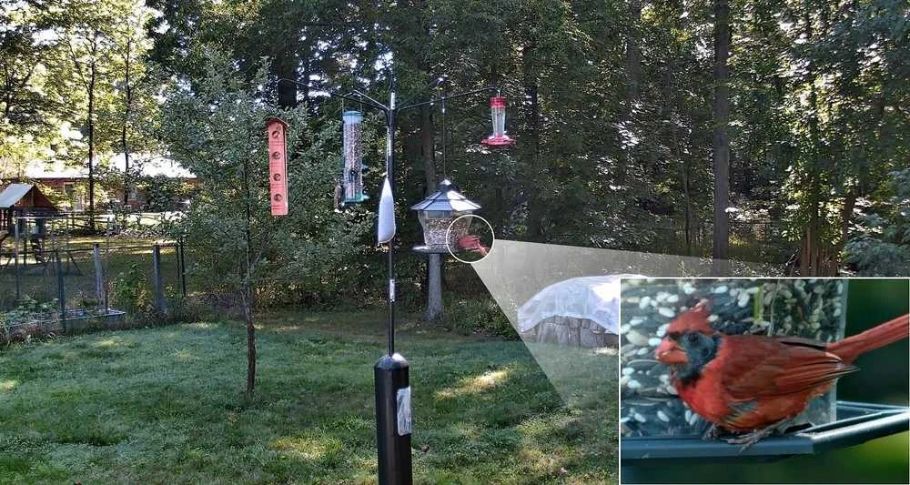 Reolink | Išmanioji 4K PoE apsaugos kamera su 16 kartų optiniu priartinimu | P850 | PTZ | 8 MP | 5,3–86 mm / maks. F1,6 | Maitinimas per Ethernet (PoE) | IP66 | H.265/H.264 | „Micro SD“, maks. 256 GB