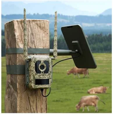 Reolink Talon Pro 4G-riistakamera ulkokäyttöön