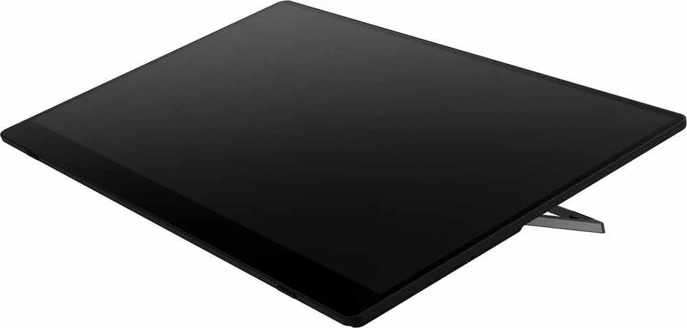 RICOH - Nešiojamas monitorius 150 OLED 15,6'' (laidinis)