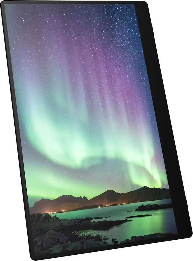 RICOH - Nešiojamas monitorius 150 OLED 15,6'' (laidinis)