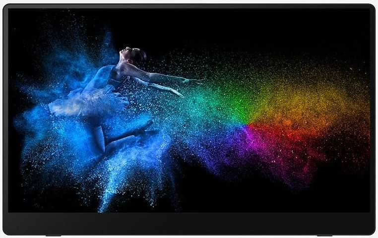 RICOH - Nešiojamas monitorius 150 OLED 15,6'' (laidinis)