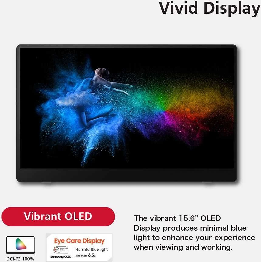 RICOH - Nešiojamas monitorius 150 OLED 15,6'' (laidinis)