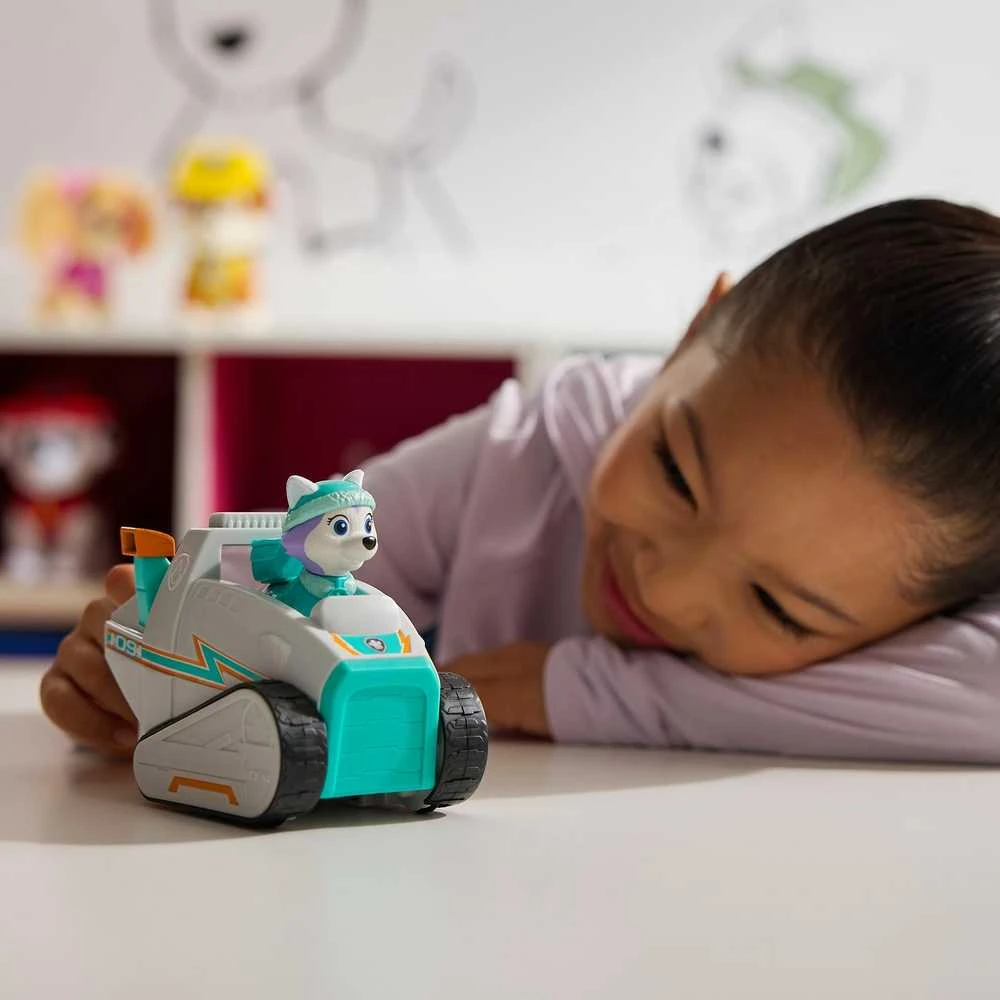 Playset Spin Master Paw Patrol Everest