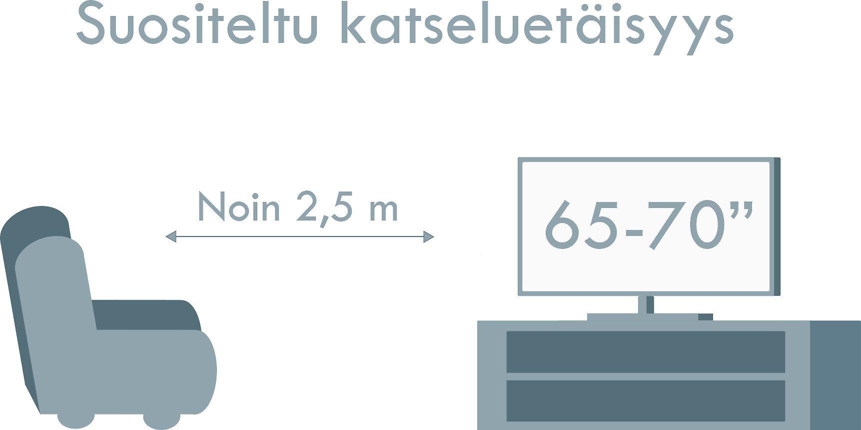 Televizorius SAMSUNG OLED 65 colių QE65S90CAT