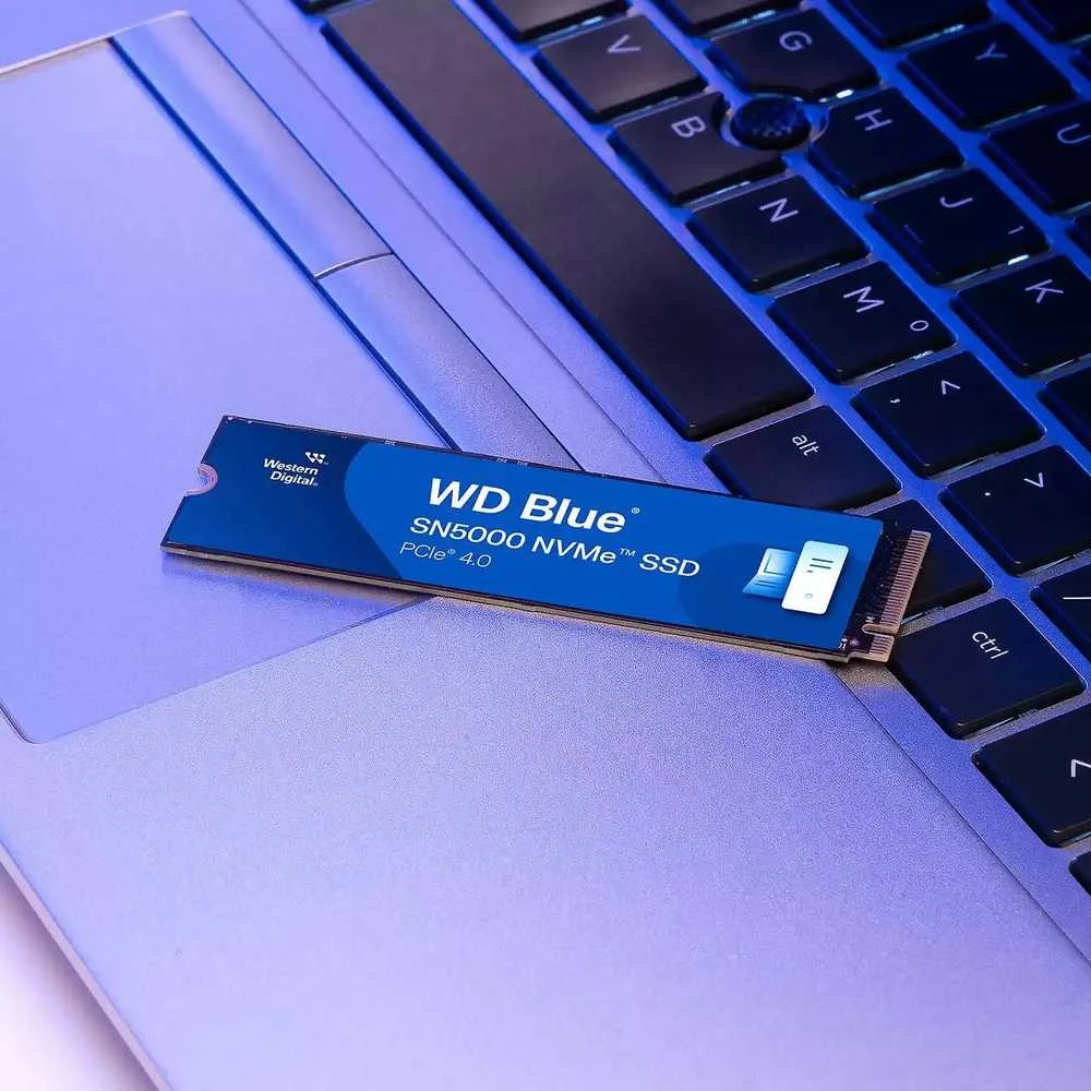 Sandisk SSD - Western Digital Mėlyna SN5000 1 TB M.2 PCIe 4.0