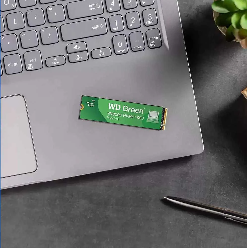 Western Digital WD Žalias SN3000 M.2 PCIe NVMe 1TB