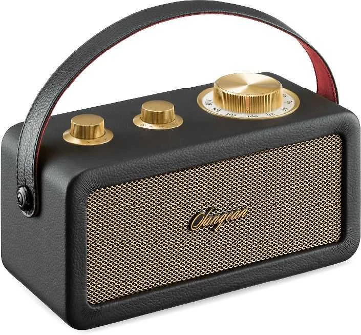 „Sangean RA-101“ nešiojama „Bluetooth“ kolonėlė, juoda-auksinė