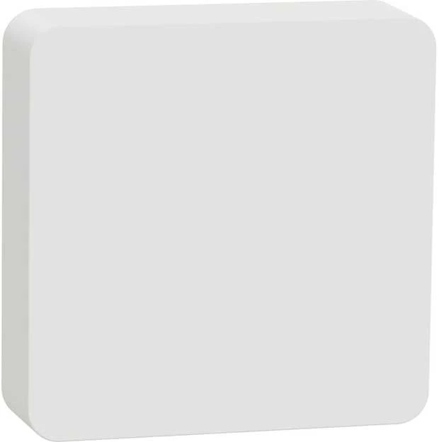 Apc Schneider Electric Wiser temperatūros ir drėgmės matuoklis