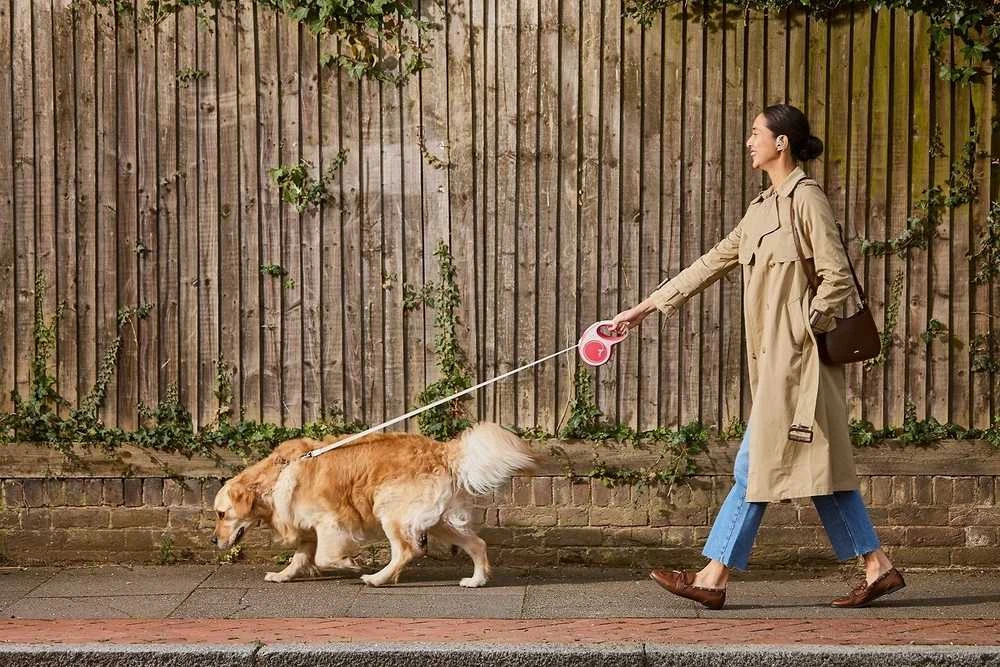 Shokz OpenFit 2+ ausinės su kaulų laidumo technologija ir „Dolby Audio“, juodos