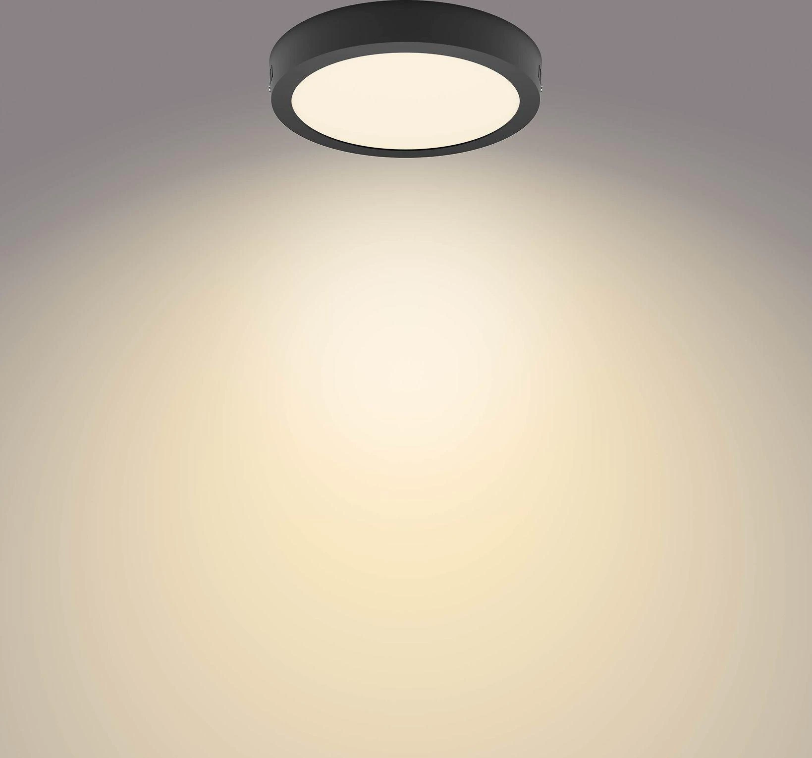 Sieninis šviestuvas Philips 12W LED lubinis šviestuvas MAGNEOS, juodas, 2700K