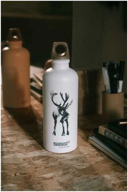 SIGG x TJ Poro -juomapullo 0,6 l