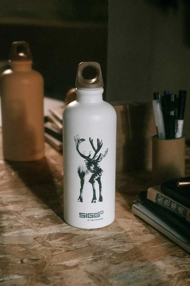 SIGG x TJ Poro -juomapullo 0,6 l