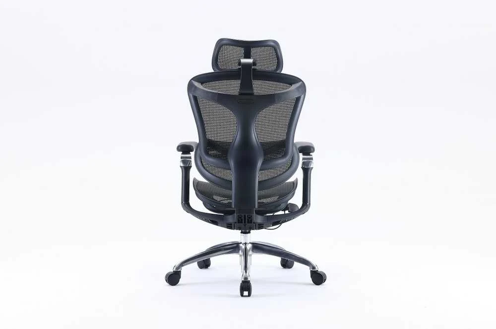 Ergonominė biuro kėdė Sihoo Doro C300, Juoda