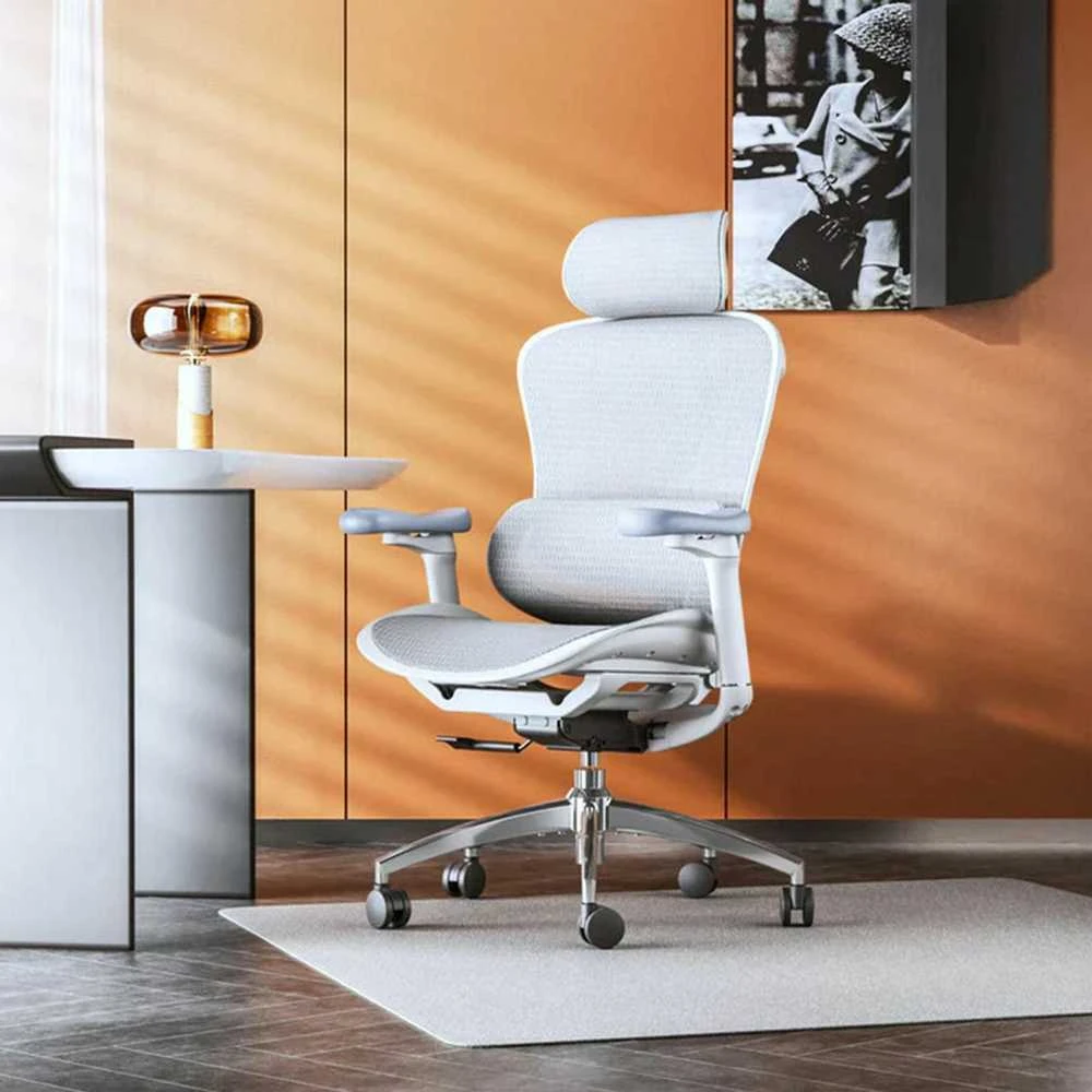 Ergonominė biuro kėdė Sihoo Doro C300, Balta