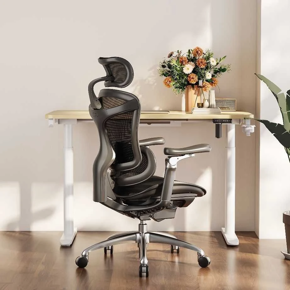 Ergonominė biuro kėdė Sihoo Doro C300, Juoda