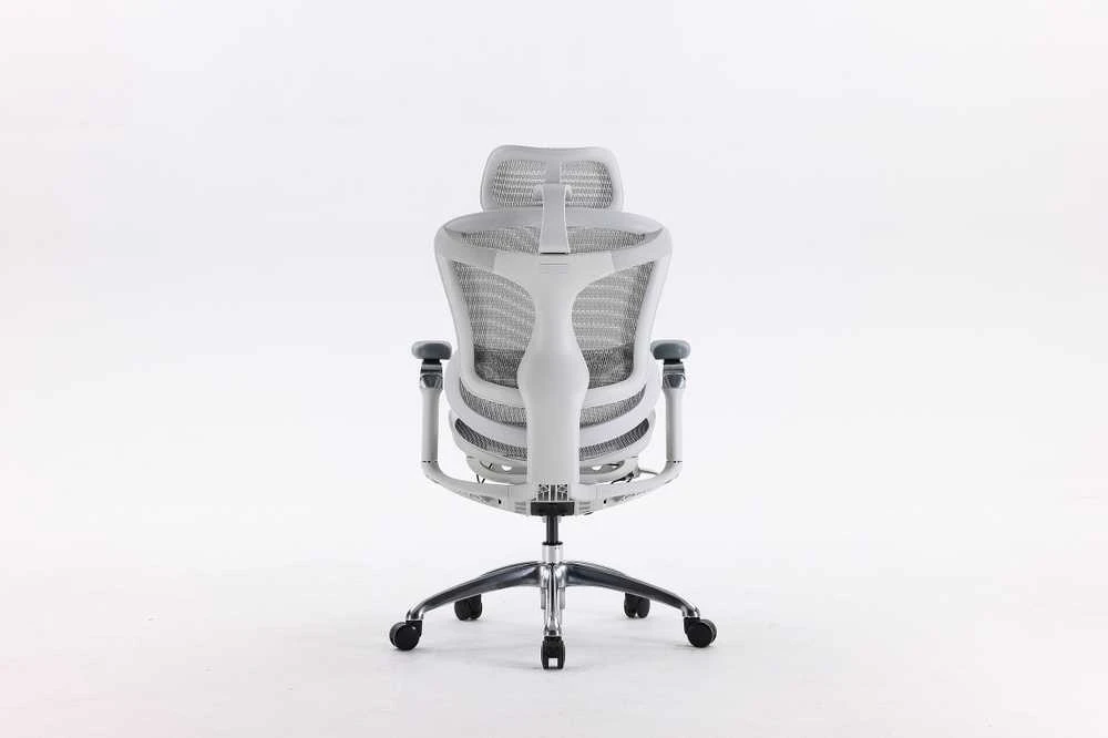 Ergonominė biuro kėdė Sihoo Doro C300, Balta
