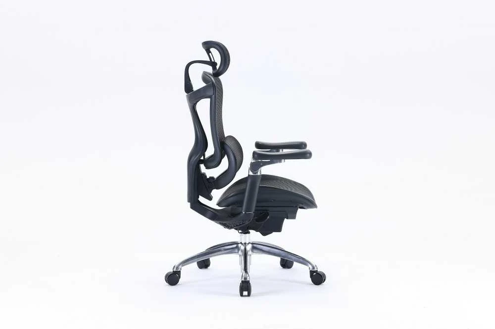 Ergonominė biuro kėdė Sihoo Doro C300, Juoda