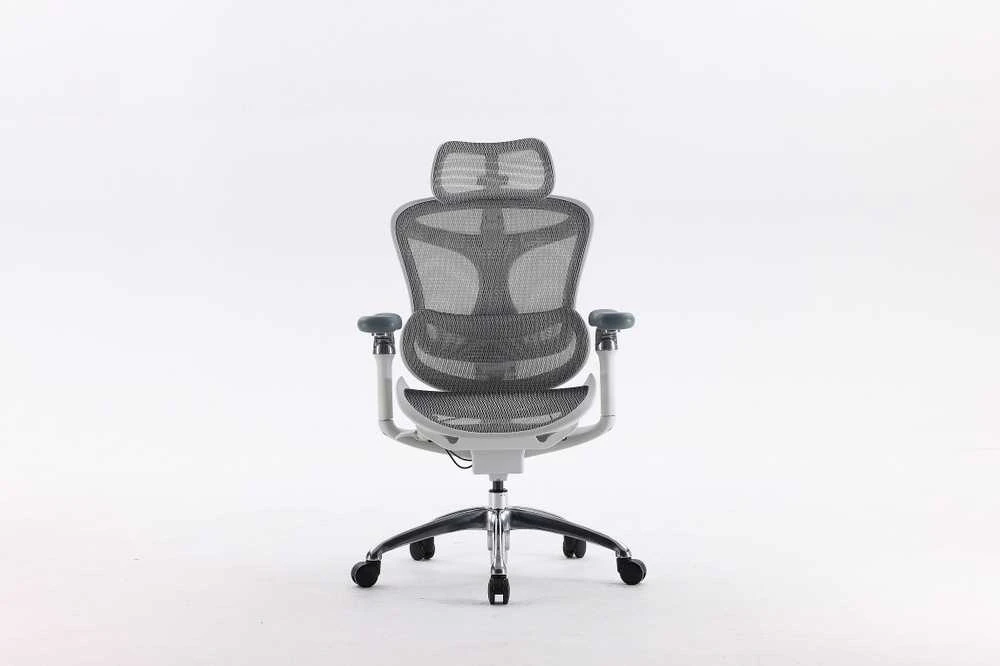 Sihoo Doro C300 pilka ergonomiška kėdė