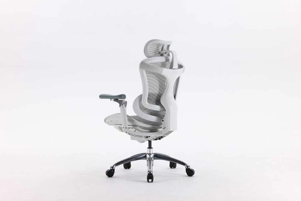 Ergonominė biuro kėdė Sihoo Doro C300, Balta