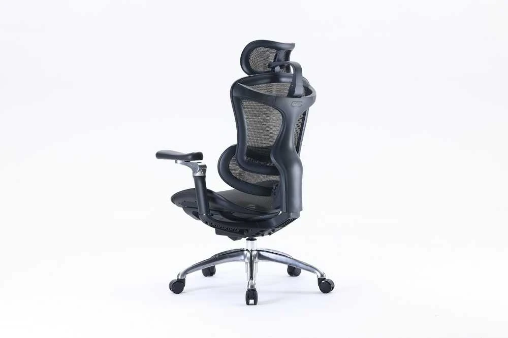 Ergonominė biuro kėdė Sihoo Doro C300, Juoda