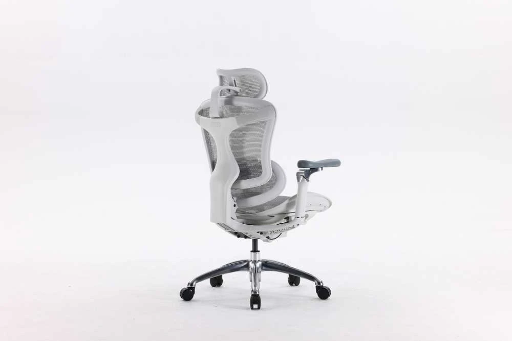 Ergonominė biuro kėdė Sihoo Doro C300, Balta