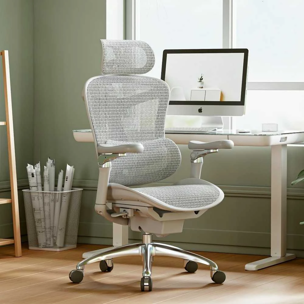 Ergonominė biuro kėdė Sihoo Doro C300, Balta