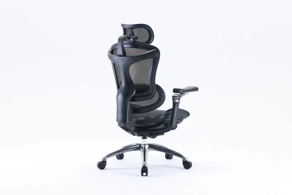 Ergonominė biuro kėdė Sihoo Doro C300, Juoda