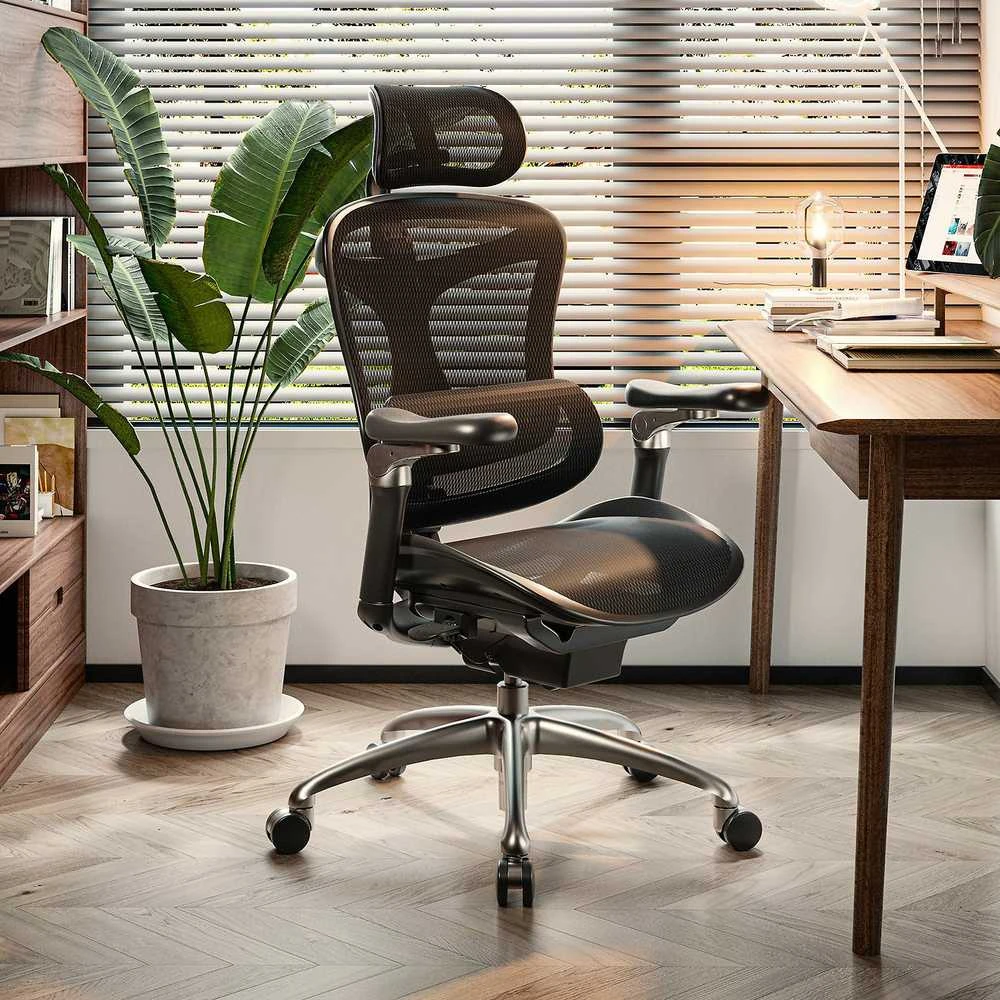 Ergonominė biuro kėdė Sihoo Doro C300, Juoda